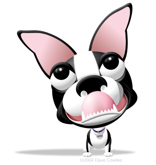 3D Caricature of Ham, the Boston Terrier from Kowulz' Beantown Terror
