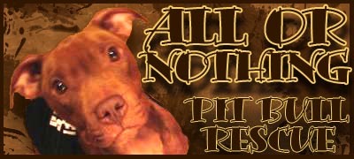 Brandon Bond's All Or Nothing Pit Bull Rescue
