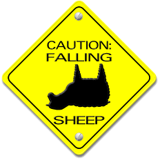 Caution Falling Sheep Street Sign