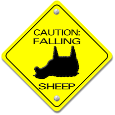 Falling Sheep: My Design