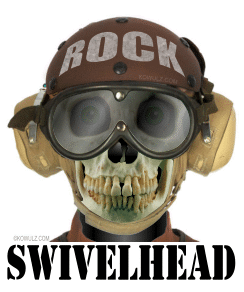 UDN Swivelhead UDN Swivelhead